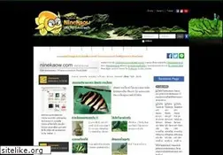 Sites similar to ninekaow.com