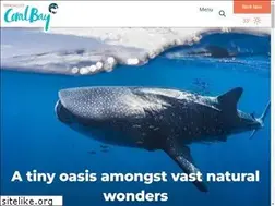Sites similar to ningalooclub.com