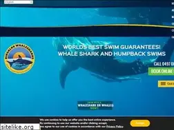 Sites similar to ningaloowhalesharks.com