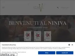 Sites similar to niniva.it
