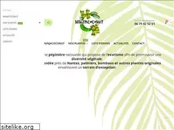 Sites similar to ninjacoconut.com