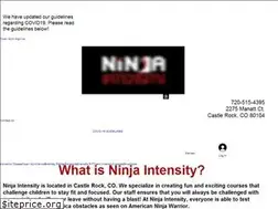 Sites similar to ninjaintensity.com