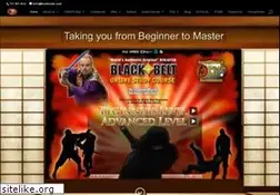 Sites similar to ninjutsu.com