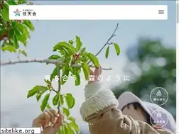 Sites similar to nintenkai.net