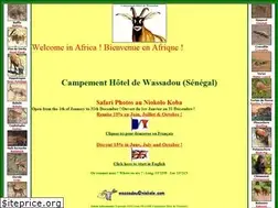 Sites similar to niokolo.com