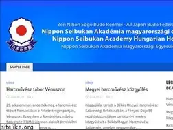 Sites similar to nipponseibukanhungary.com