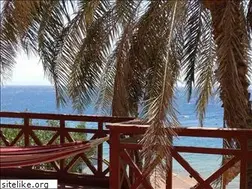Sites similar to nirvanadivers.com