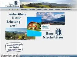 Sites similar to nischelbitzer.com