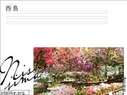 Sites similar to nishijima.or.jp