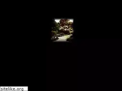 Sites similar to nite-lites.com