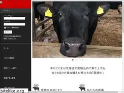 Sites similar to nittafarm.com