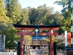 Sites similar to niukawakami-jinja.jp