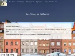 Sites similar to nizinny.fr