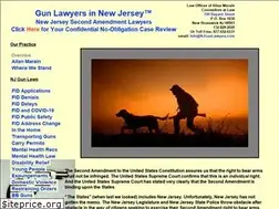 Sites similar to njgunlawyer.com