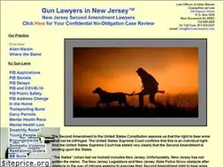 Sites similar to njgunlawyers.com