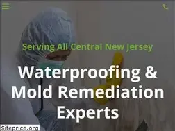 Sites similar to njmoldpros.co