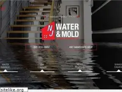 Sites similar to njwaterandmold.com