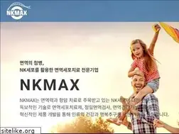 Sites similar to nkmax.com