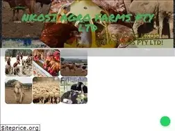 Sites similar to nkosiagrofarmsptyltd.com