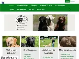 Sites similar to nlv.nu