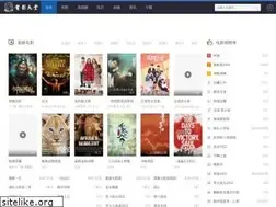Sites similar to nmgxy.org