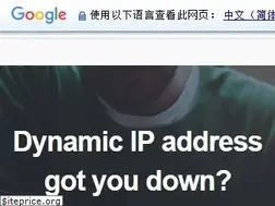 Sites similar to no-ip.com
