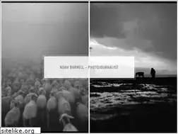 Sites similar to noahdphoto.com