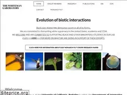 Sites similar to noahwhiteman.org