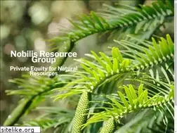 Sites similar to nobilis-rg.com