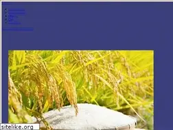 Sites similar to nodabeika.co.jp