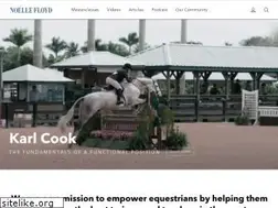 Sites similar to noellefloyd.com