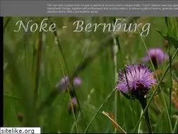Sites similar to noke-bernburg.blogspot.com