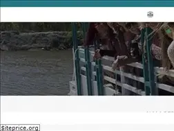 Sites similar to nolapedalbarge.com