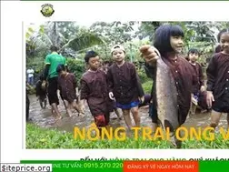 Sites similar to nongtraiongvang.com