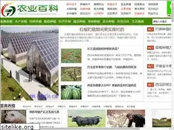 Sites similar to nongyie.com