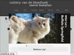 Sites similar to noorseboskatten.net