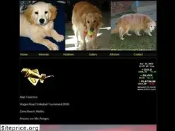 Sites similar to noperro.com