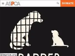 Sites similar to nopetstorepuppies.com