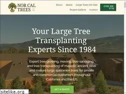 Sites similar to norcaltrees.com