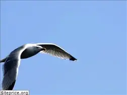 Sites similar to nord-holland.de