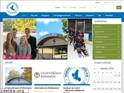 Sites similar to nordenbergsskolan.se