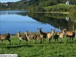 Sites similar to nordfjordhjort.no