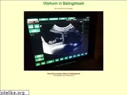 Sites similar to norenvanbalingshoek.nl