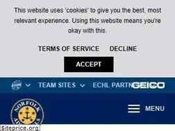 Sites similar to norfolkadmirals.com