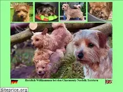 Sites similar to norfolkterrier.info