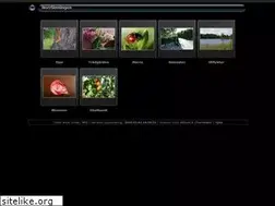 Sites similar to norrlanning.net