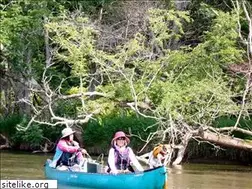 Sites similar to north-east.jp