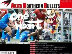 Sites similar to northern-bullets.com