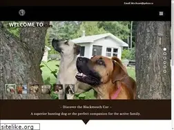 Sites similar to northernblackmouthcur.ca