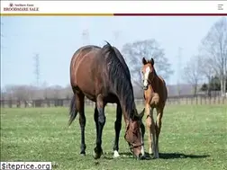 Sites similar to northernfarm-broodmare-sale.jp